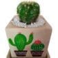 Cactus In Hand Painted Pot Close-up