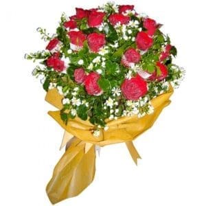 Two dozen red Roses in a bouquet