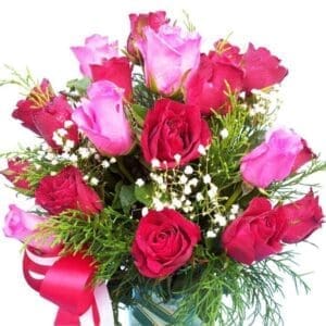 Red & pink Roses in a vase, close up